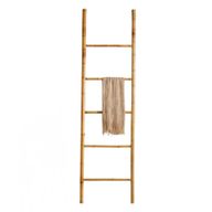 Bamboo Ladder