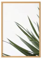 Green Leaf Minimal Print