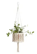 Circle Hanging Planter