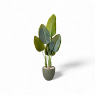 Lush Artificial Augusta Plant with Curve Pot
