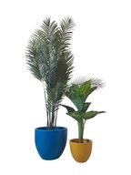 Artificial Dieffenbachia & Areca Plant with Decorative Pots