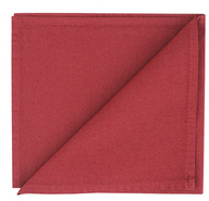 Berry Cotton Napkins (Set of 2)