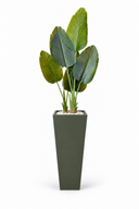 Artificial Augusta Plant In Obelisk Pot