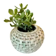 Belly plant pot cover