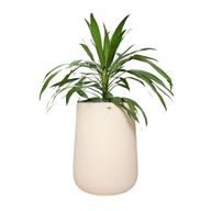 أصيص زرع سيا من حجر الصب