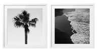 Beach Palm Tree Monochrome Photography