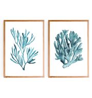 Blue Coral Set of 2