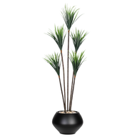 Artificial Dracaena Tree with Paula Pot