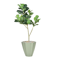 Artificial Maple Tree with Paula Pot