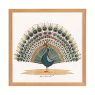 Darwisha Peacock Original Art Print