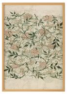 Floral Jasmine Print