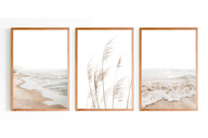 Beach Neutral Coastal Prints