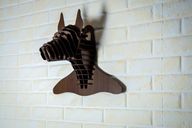 برونو - رأس الكلب الدوبرمان