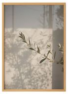 Leaf Freckle Shadows Print