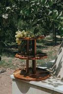 Dazzling Orchid Stand
