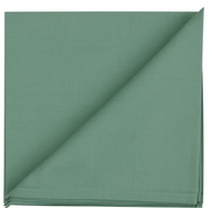 Pistachio Napkins (Set of 2)