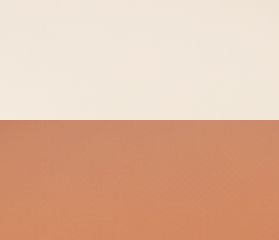 T-Beige*Brown Orange Matte  
