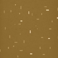 Muddy Waters/Fallow/Moccasin