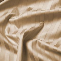 Satin Stripe - Champagne