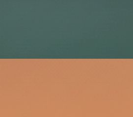 T-Dark Green*Brown Orange 