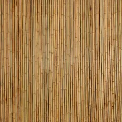 Natural Bamboo