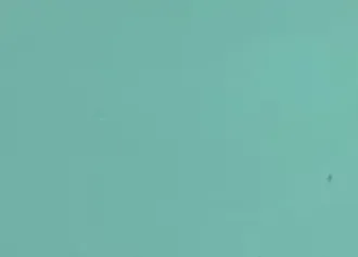 Elf Green - 7544
