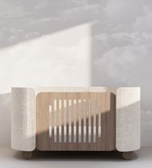 غير قابل للتحويل