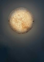 Round Halo Appliques