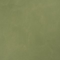 JOTUN 0125 PALM LEAF