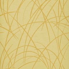 Buttermilk/Harvest Gold