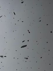 FT- Glossy Dotted Grey 