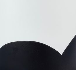 FT- أبيض/ أسود