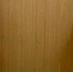 CR-Beech WN Sample 13