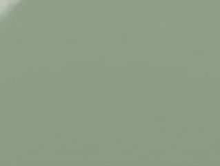 T-Saga Green Glossy