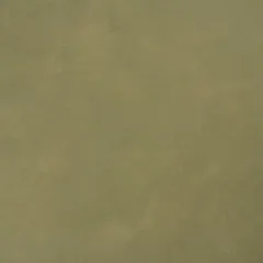 JOTUN 8575 NATURAL GREEN