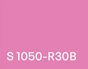 Pink S 1050-R30B