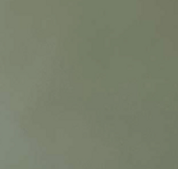 CR-Tea Leaf Lacquer (S6010-G50Y)