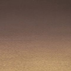 SAL - Brass Oxidized