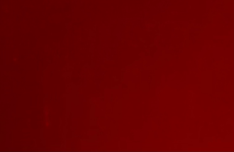 Red Red X118