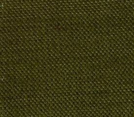 Texmar : Master Olive