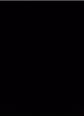 T-BLACK Matte 