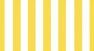 white x yellow