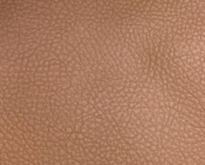 Camel Brown Artificial Leather