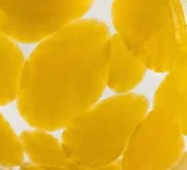 Mimosa Yellow