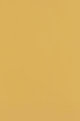 Mustard Yellow