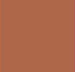 Earth Brown 8005