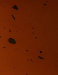 FT- Glossy Dotted Brown