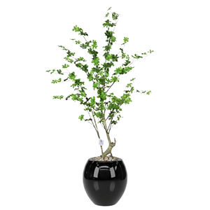Artificial Maple Tree with Paula Pot