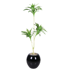 Artificial Dracaena Song of India Tree