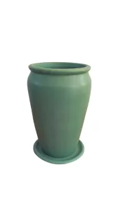 قصرية زرع طويلة